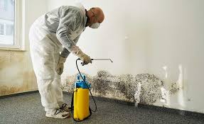 Best Mold Removal for HVAC Installations  in Sacramento, CA