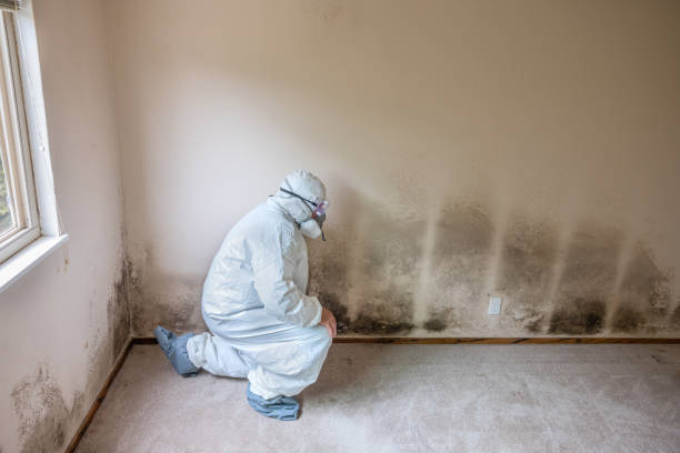 Forensic Mold Investigation in Sacramento, CA